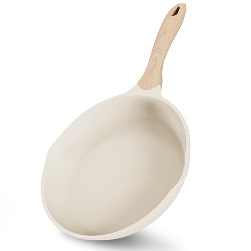 JEETEE 11 Inch Nonstick Frying Pan Skillet with Dual Spouts Cooking Pan