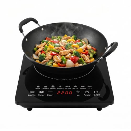 JAYGOVAN Portable Induction Cooktop 8 Temperature & Power Levels 2200W Induction Stove Burner with 6.7" Heating Coil Single Burner Electric Cooktop 110V Plug in for Kitchen, Outdoor Camping, RV