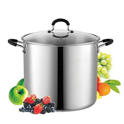 Cook N Home Professional 12 Quart Stainless Steel Stock Pot with Lid